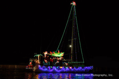 The Hippocampus (#1)