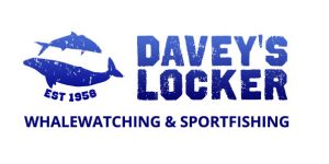 daveyslocker