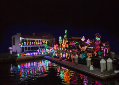 David MacIntyre (Sasco)