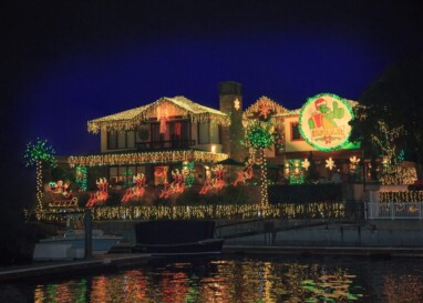 Mr. & Mrs. Bruce Fabrizio