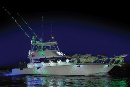 FANTAIL (#67) – BYC