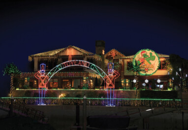 Bruce and Viviana FaBrizio (Simple Green)