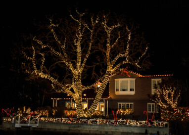 GIGI AND CRAIG LYONS