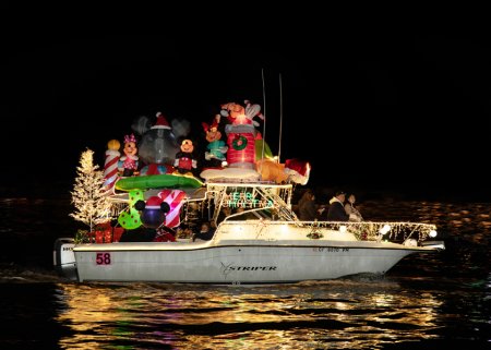 STRIPER (#58)