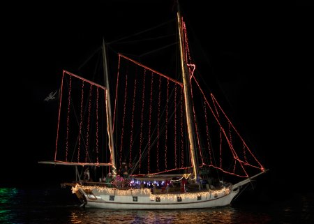 MAYFLOWER (#68)