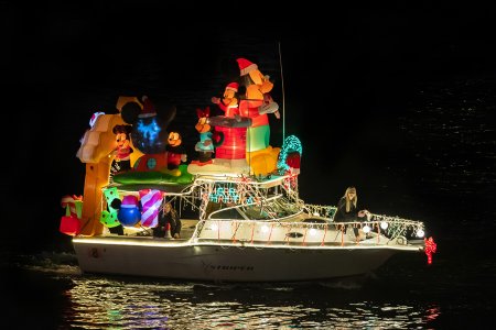 STRIPER (#8)