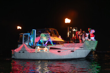 Paradise Found (#20)