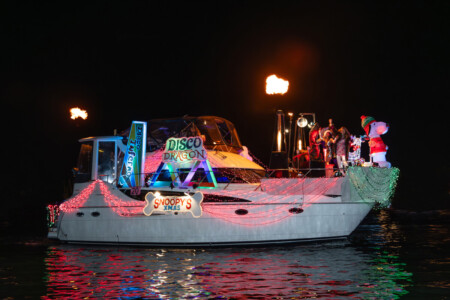 Paradise Found (#20)