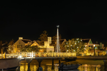 Darcy and Barbara Grimm Marshall