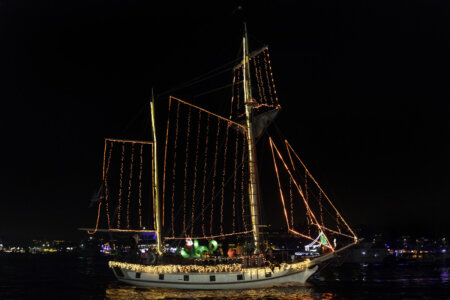 MAYFLOWER (#56)